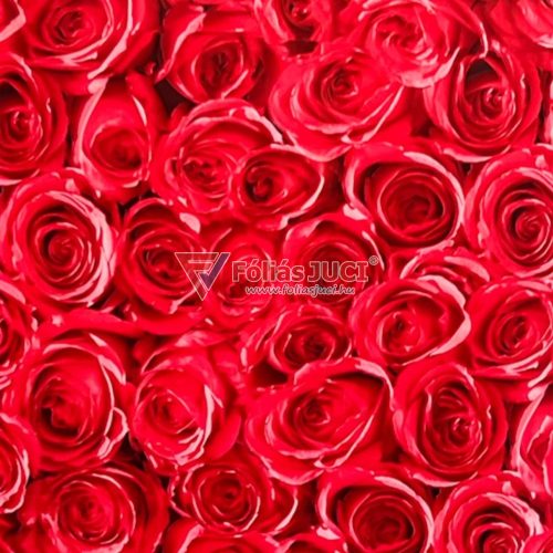 Vörös Rózsa Öntapadós Fólia (2 m x 45 cm)