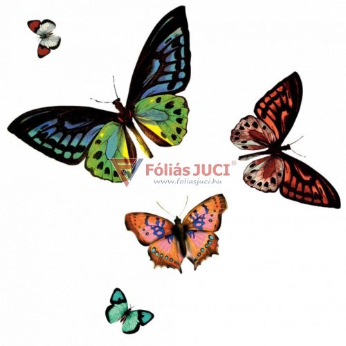 Pillangók (Papilio) Átlátszó Tányéralátét (29 cm x 44 cm )