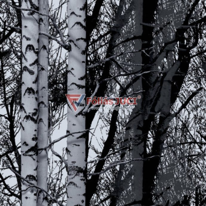 Nyírfák Az Ablak Előtt Ragasztó Nélküli Prémium Ablakfólia (Wood) (1,5 m x 67,5 cm)