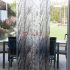 Nyírfák Az Ablak Előtt Ragasztó Nélküli Prémium Ablakfólia (Wood) (1,5 m x 67,5 cm)