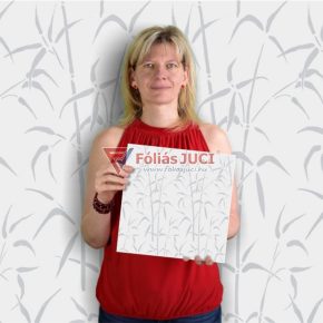 Bambusz Ablak Öntapadós Ablakfólia (Bamboo) (2 m x 45 cm) Bambusz Ablak Öntapadós Ablakfólia (Bamboo) (2 m x 45 cm)