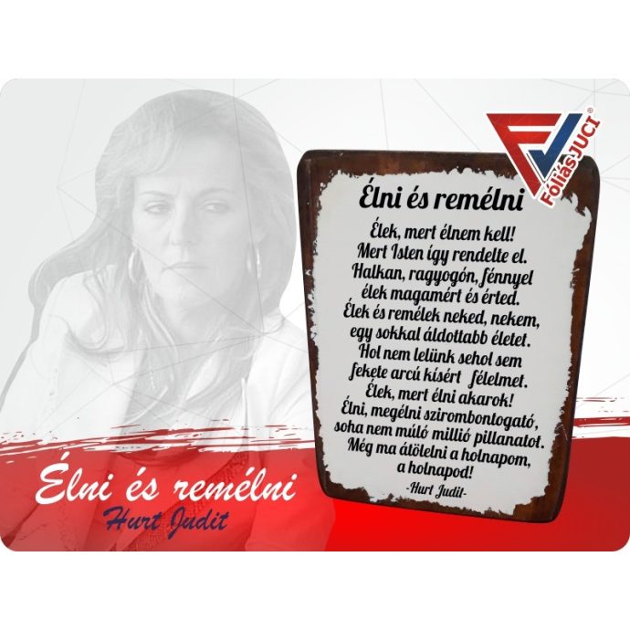 Támogatói Tábla